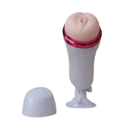 Artificial Vagina Fleshlight 1